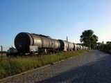 Photo001834