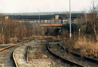 Photo0992