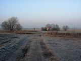 photo000440