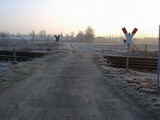 photo000448