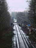 photo002339