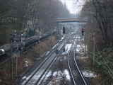 photo002571