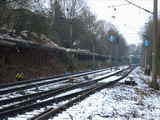 photo003183