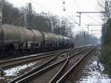 photo007333