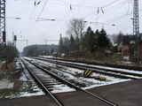 photo007337