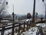 photo007338