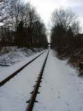 photo008859