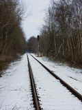 photo008860