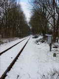 photo009613