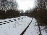 photo009646