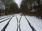 photo009647