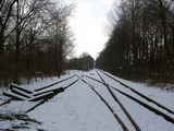 photo009649