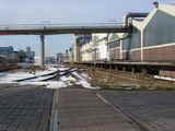 photo009675