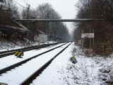 photo009723