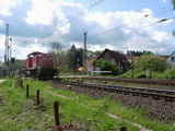 photo010848