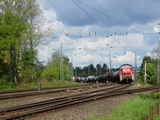 photo010852