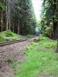 photo011088