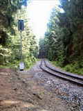 photo011141