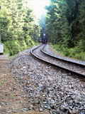 photo011142