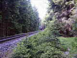 photo011275