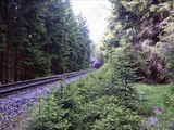 photo011276