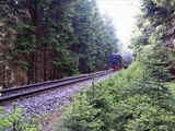 photo011279
