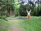 photo011281