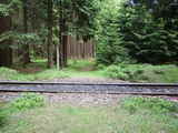 photo011282