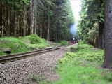 photo011284
