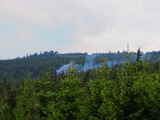 photo011419