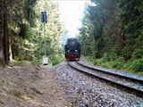 photo011432