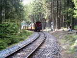 photo011433
