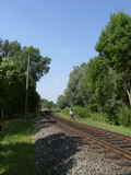 photo011768