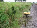 photo011824