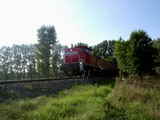 photo011898