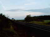 photo012981