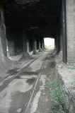 photo013228