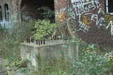 photo013268