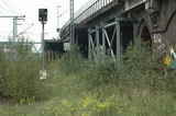 photo013271