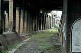 photo013272