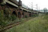 photo013274