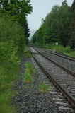 photo014935