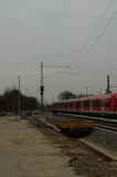 photo016519